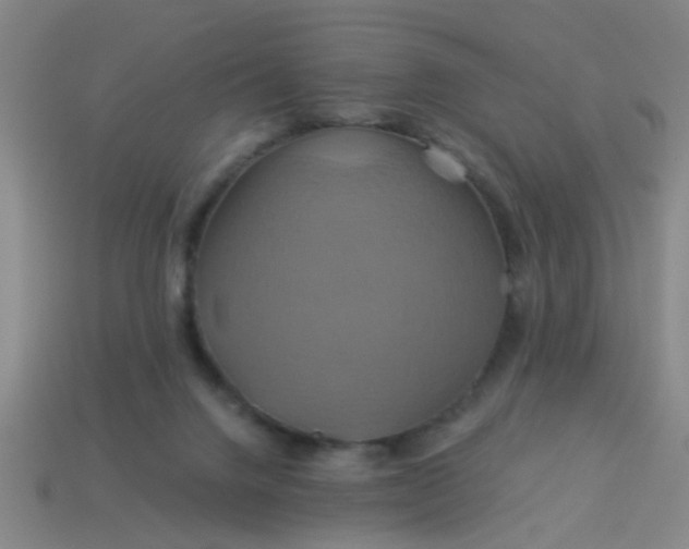 X0000114100072200910191650