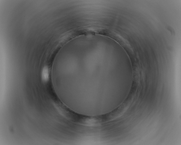 X0000114100075200910191650