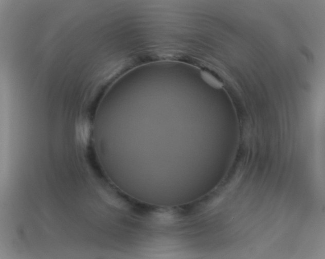 X0000114100076200910191650