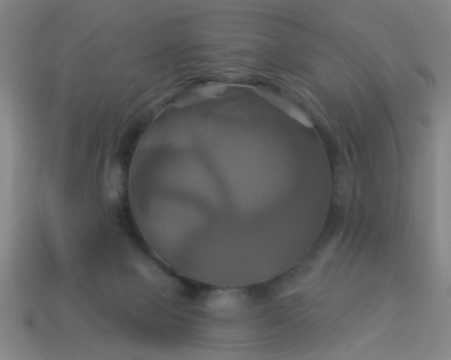 X0000114100077200910191650