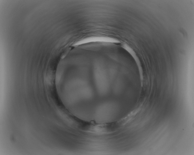 X0000114100078200910191650