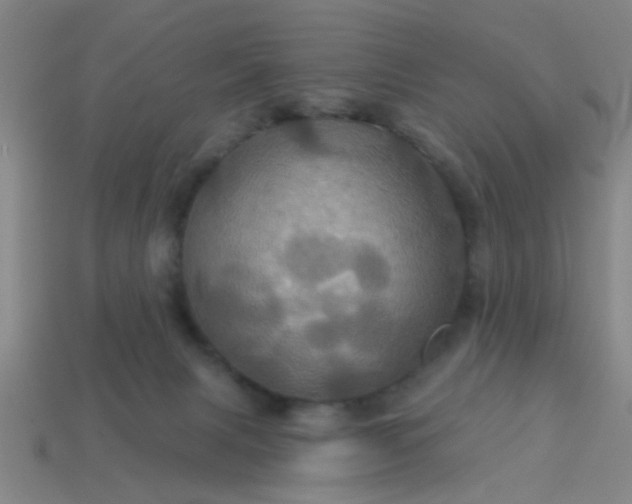 X0000114100079200910191651