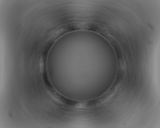 X0000114100080200910191651