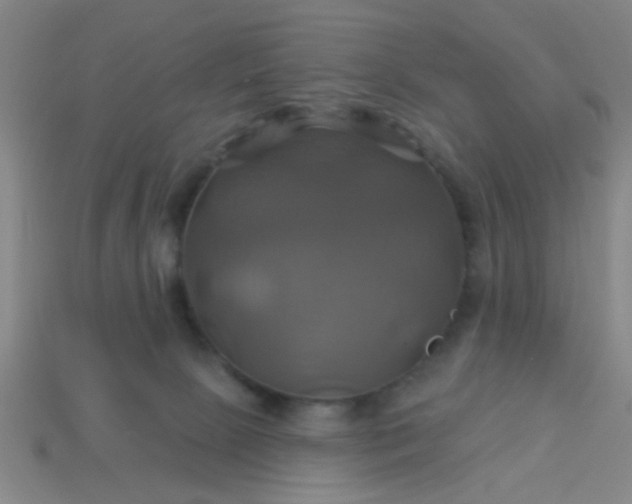 X0000114100081200910191651