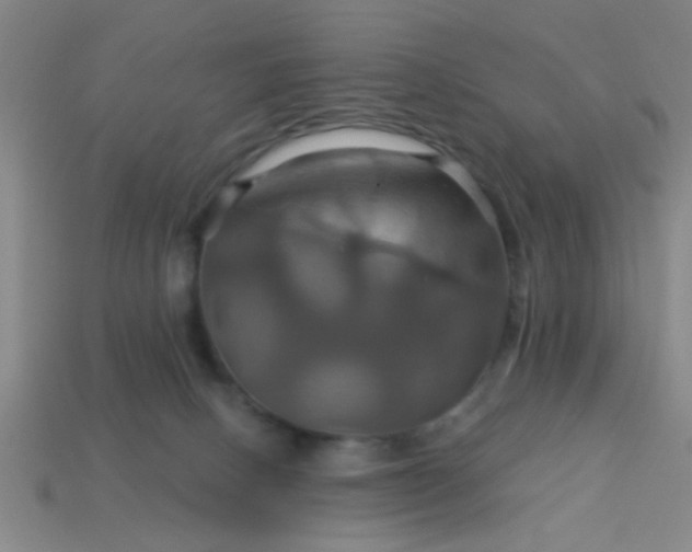 X0000114100082200910191651