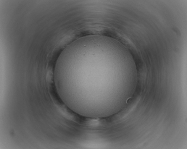 X0000114100083200910191651