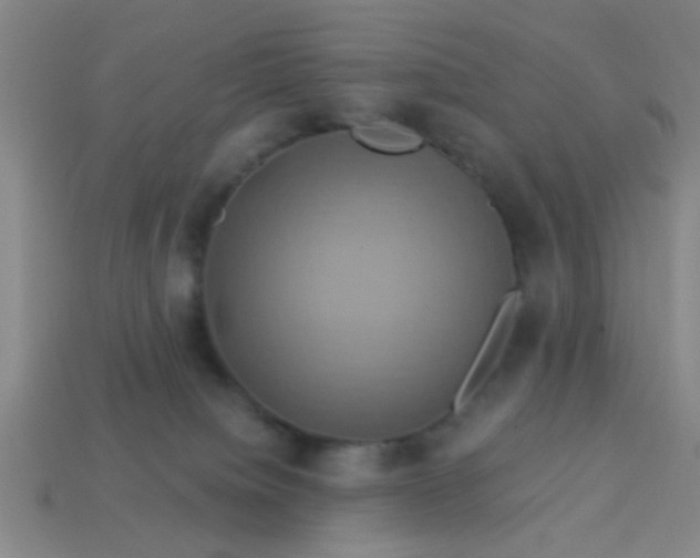 X0000114100084200910191651