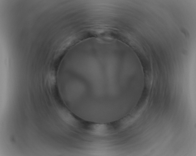 X0000114100085200910191651