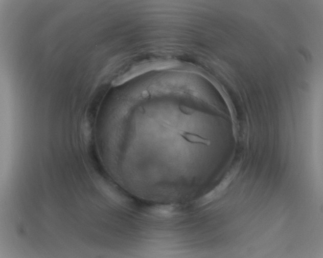 X0000114100086200910191651