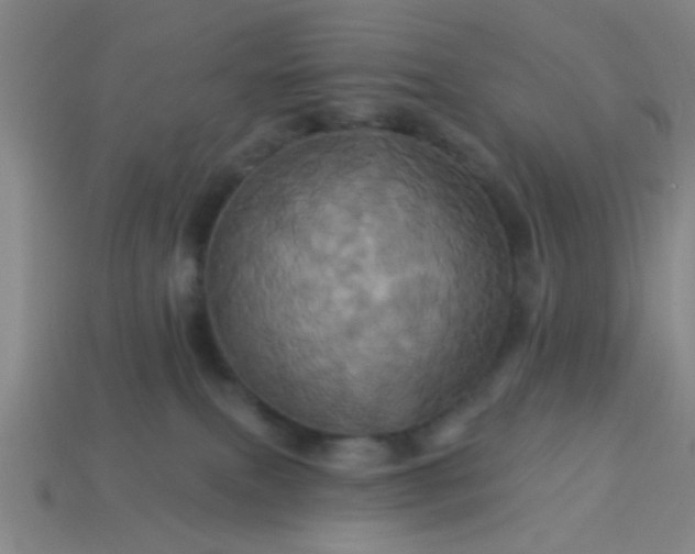 X0000114100087200910191651