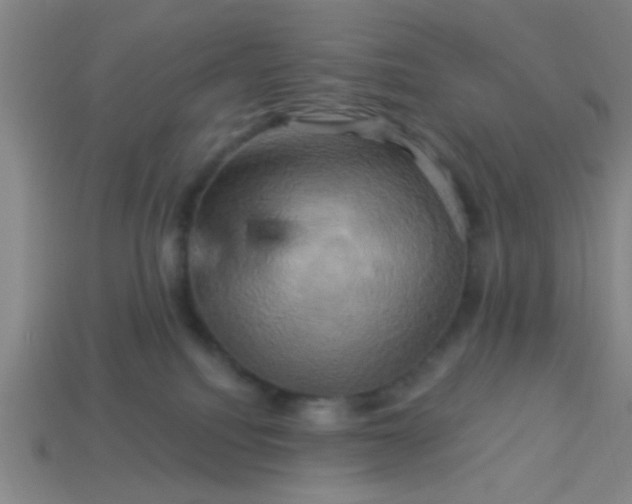 X0000114100088200910191651