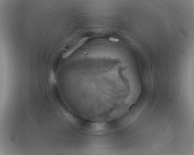 X0000114100089200910191651