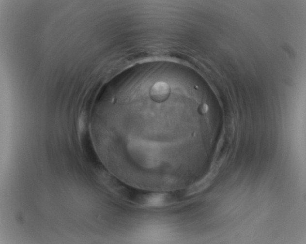 X0000114100090200910191651