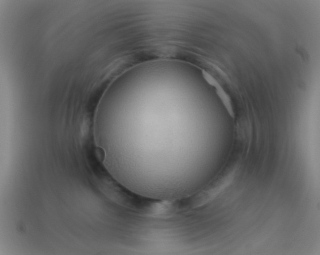 X0000114100092200910191651