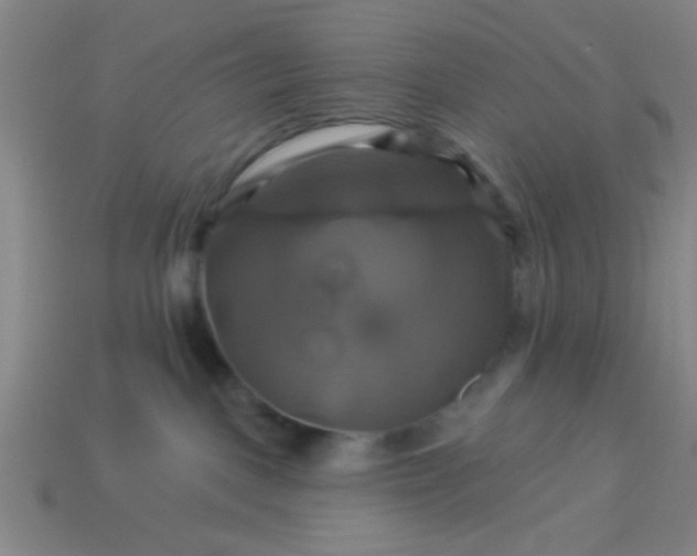 X0000114100093200910191651