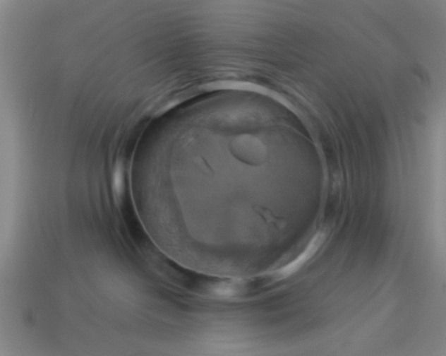 X0000114100094200910191651