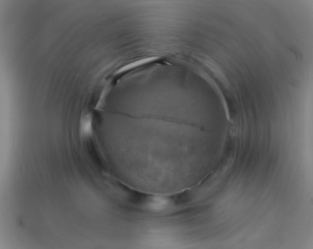 X0000114100095200910191651