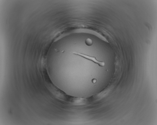 X0000114100096200910191651