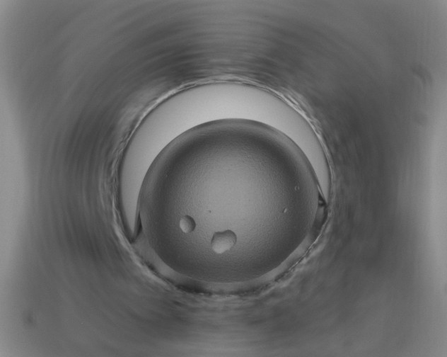 X0000114100097200910191650