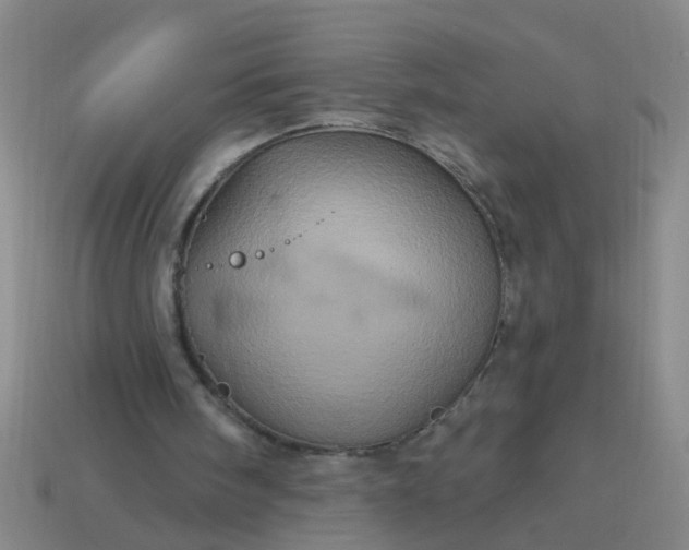 X0000114100098200910191650