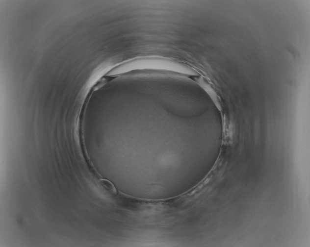 X0000114100099200910191650