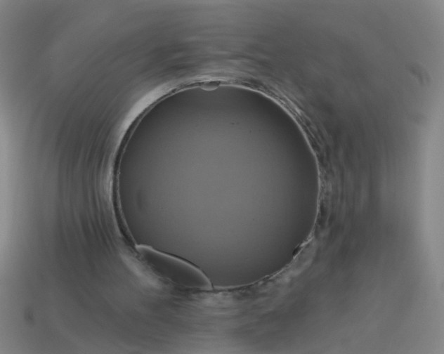 X0000114100100200910191650