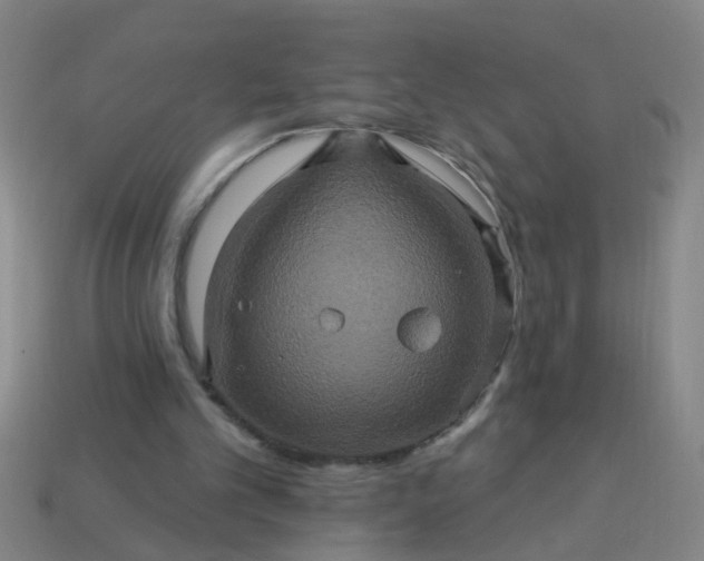 X0000114100101200910191650