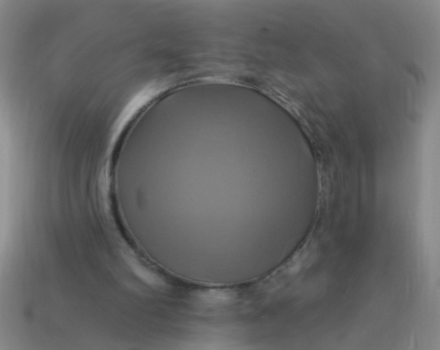 X0000114100102200910191650