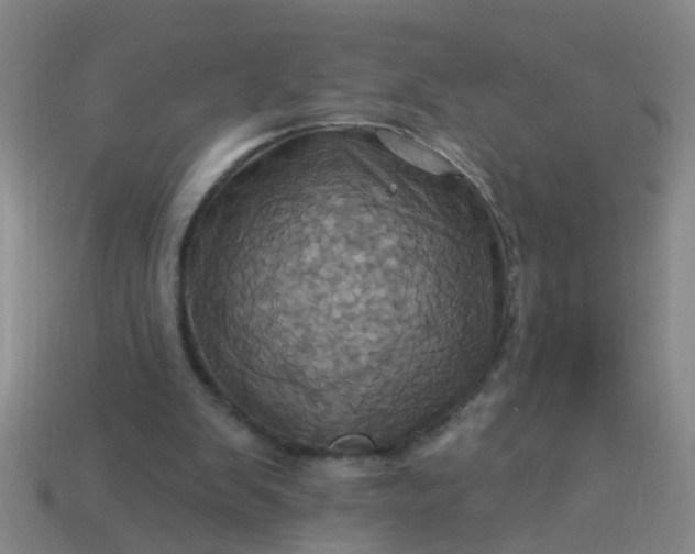 X0000114100103200910191650