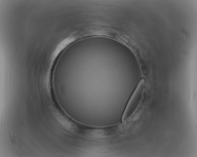 X0000114100104200910191650