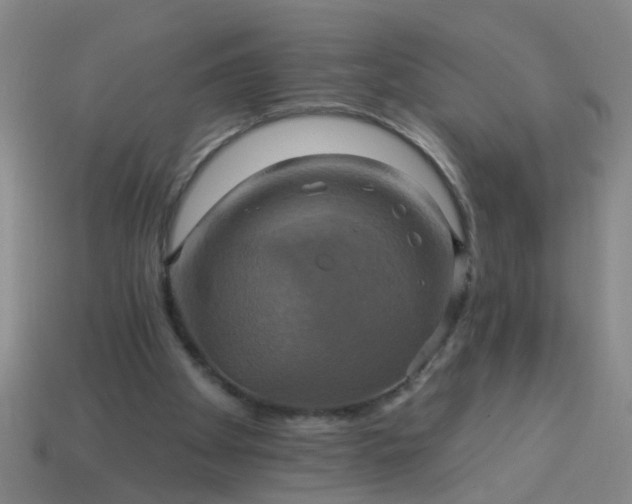 X0000114100105200910191650