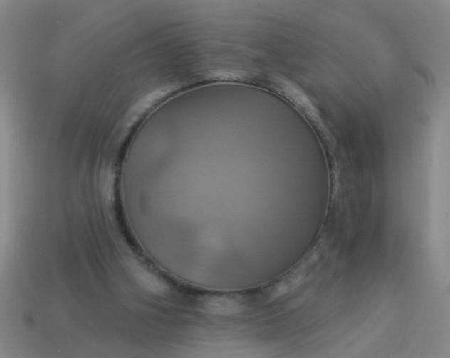 X0000114100106200910191650