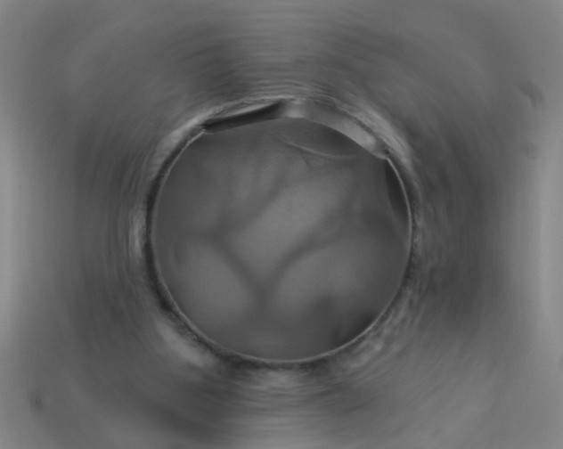 X0000114100107200910191650