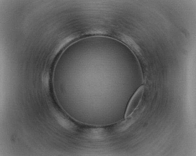 X0000114100108200910191650