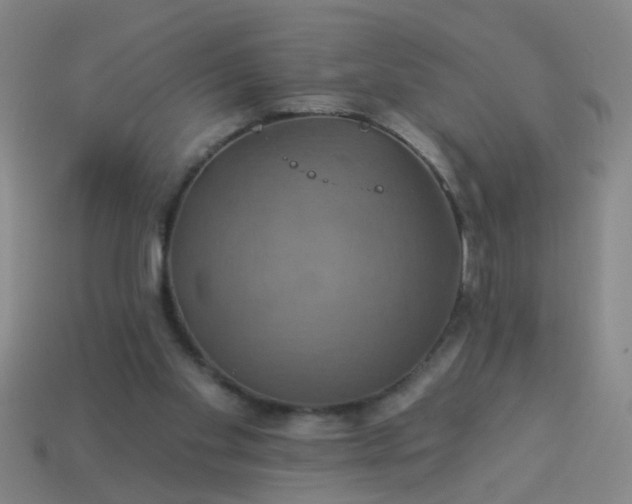 X0000114100109200910191650