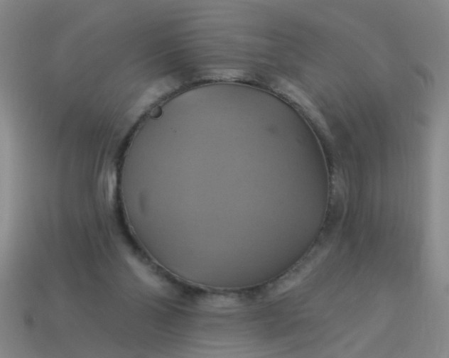 X0000114100110200910191650