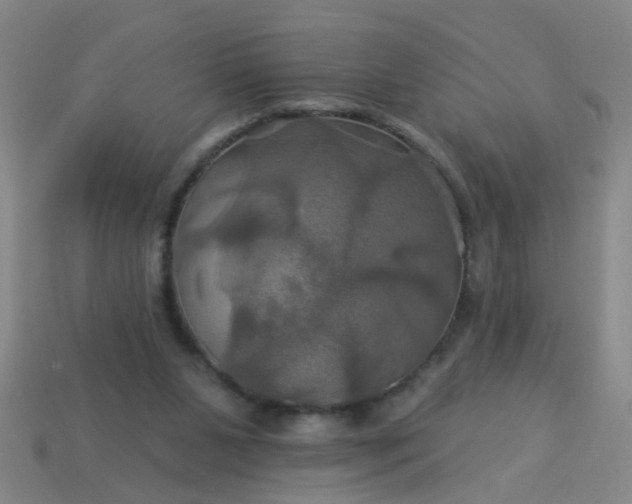 X0000114100111200910191650