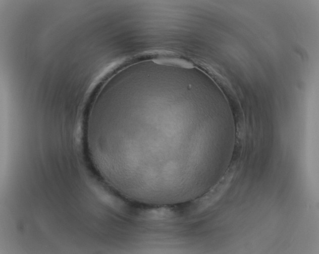 X0000114100112200910191650