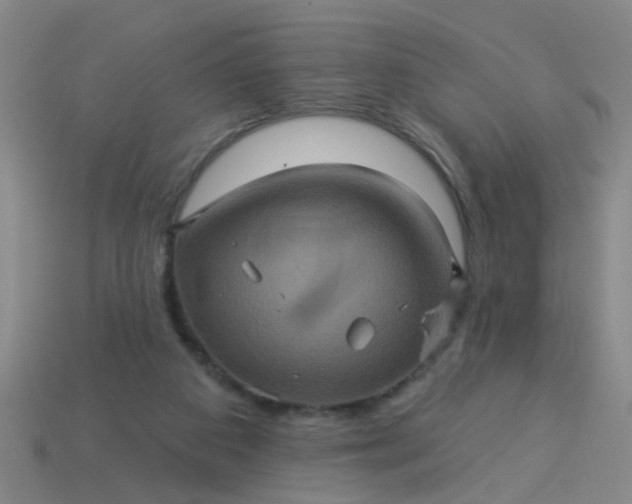 X0000114100113200910191650