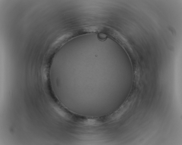 X0000114100114200910191650