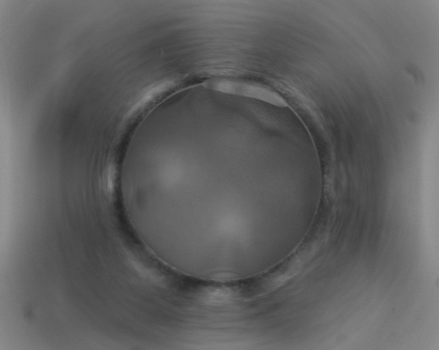 X0000114100115200910191650