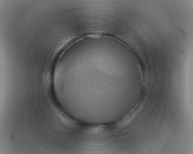 X0000114100116200910191650