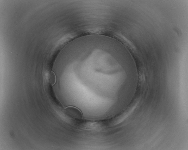 X0000114100117200910191650