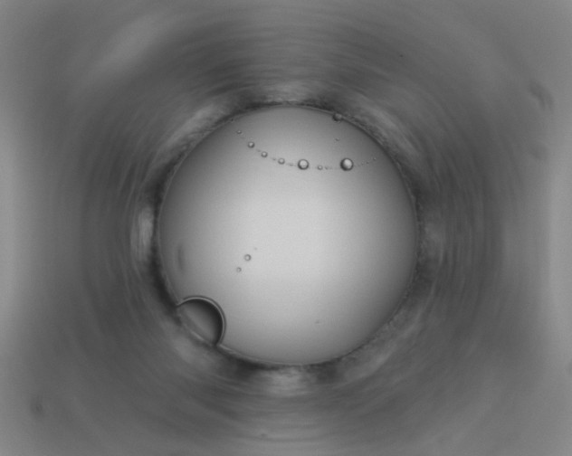 X0000114100118200910191650