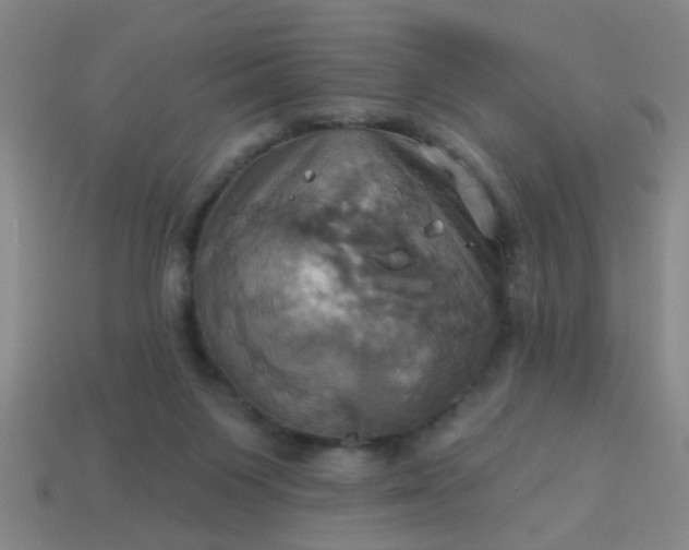 X0000114100119200910191650