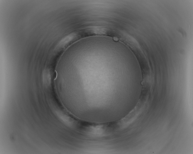 X0000114100120200910191650