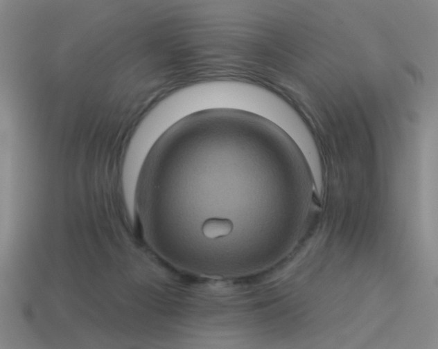 X0000114100121200910191650