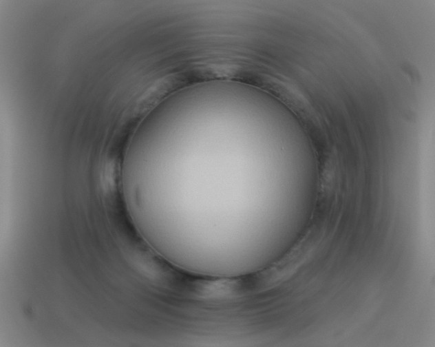 X0000114100122200910191650