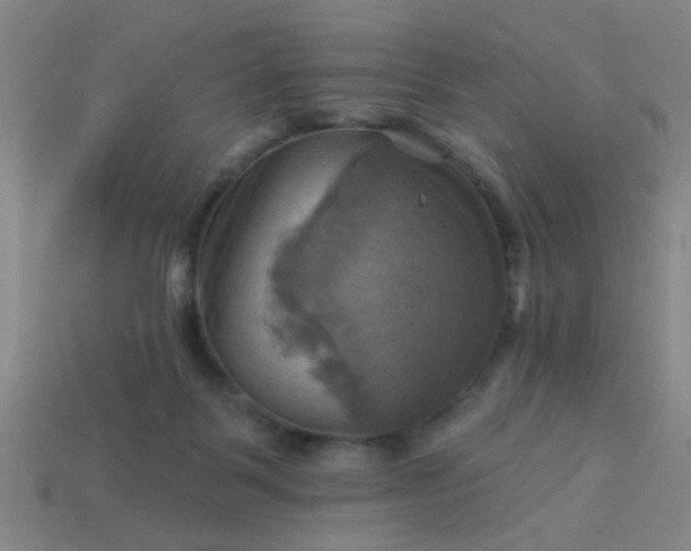 X0000114100123200910191650