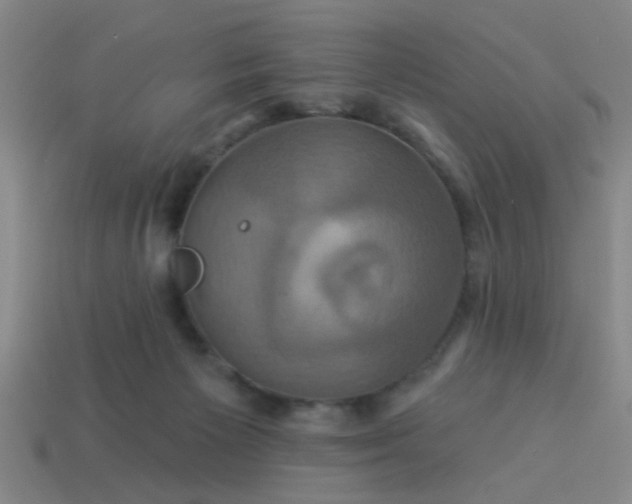 X0000114100125200910191650